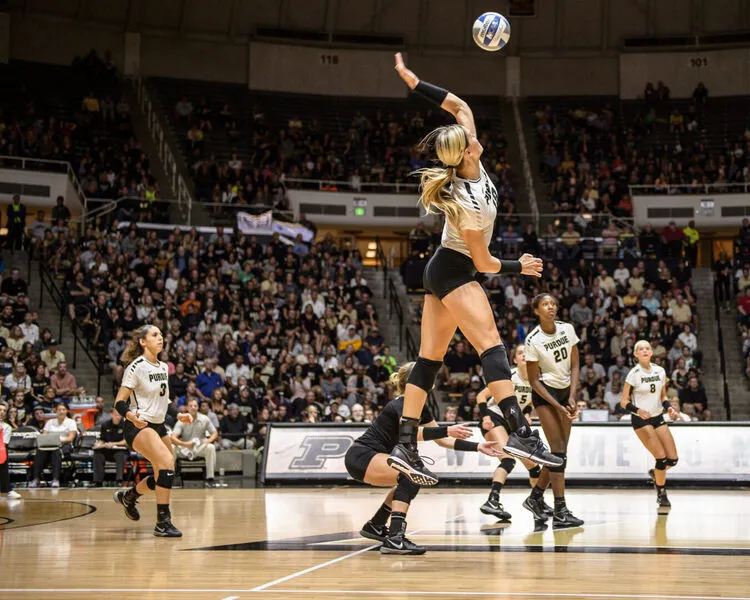 Volleyball - Purdue vs. Northwestern
